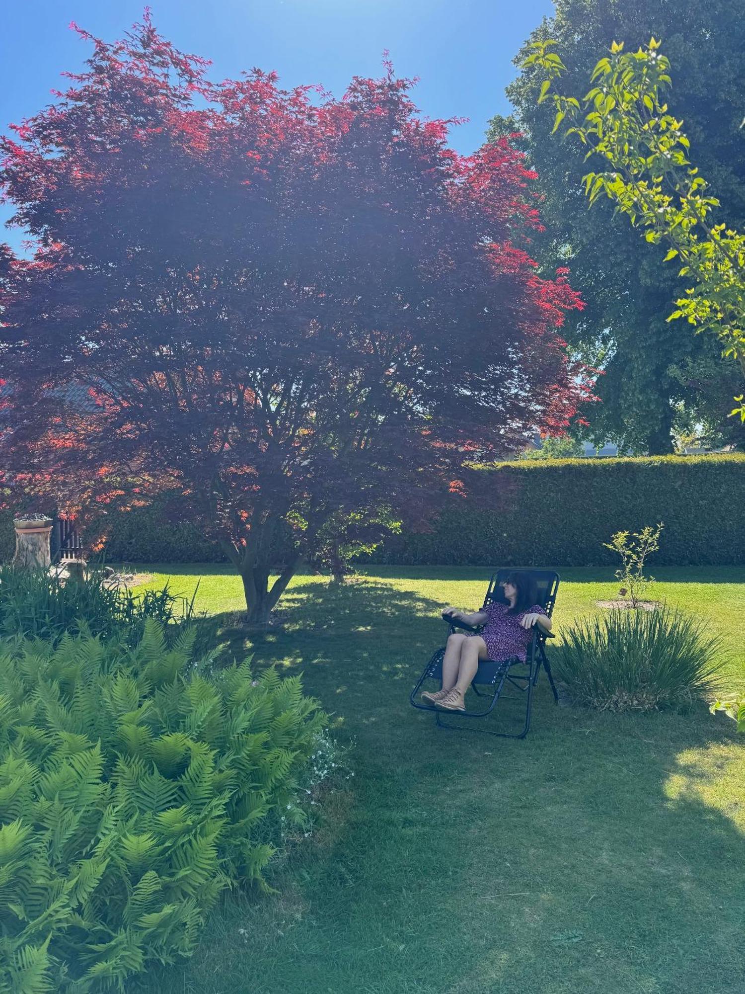 Ferien-Whg Moewe Nahe Steinhuder Meer Mit Garten Und Balkon Hagenburg Exteriör bild